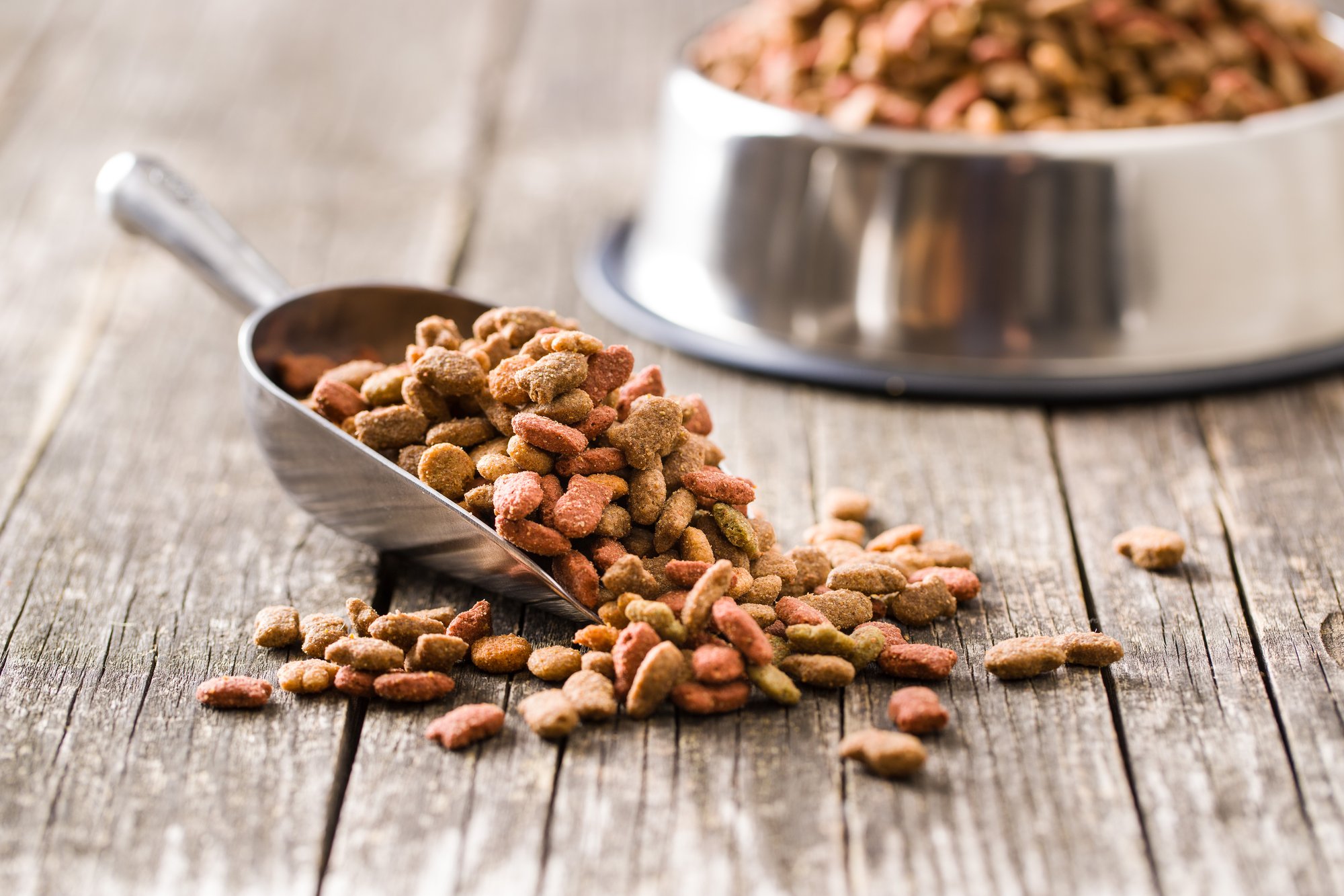 Kibble-Scoop_233258281